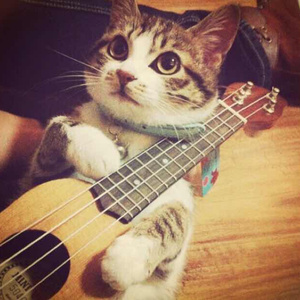 久久Av性爱生活片
